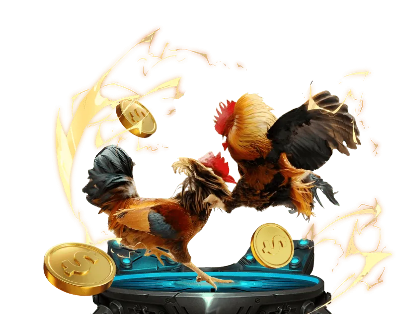 Cá cược bóng đá tại thomo hom nay